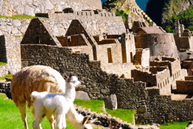Machupicchu Tour