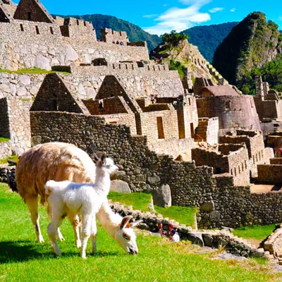 Machupicchu Tour